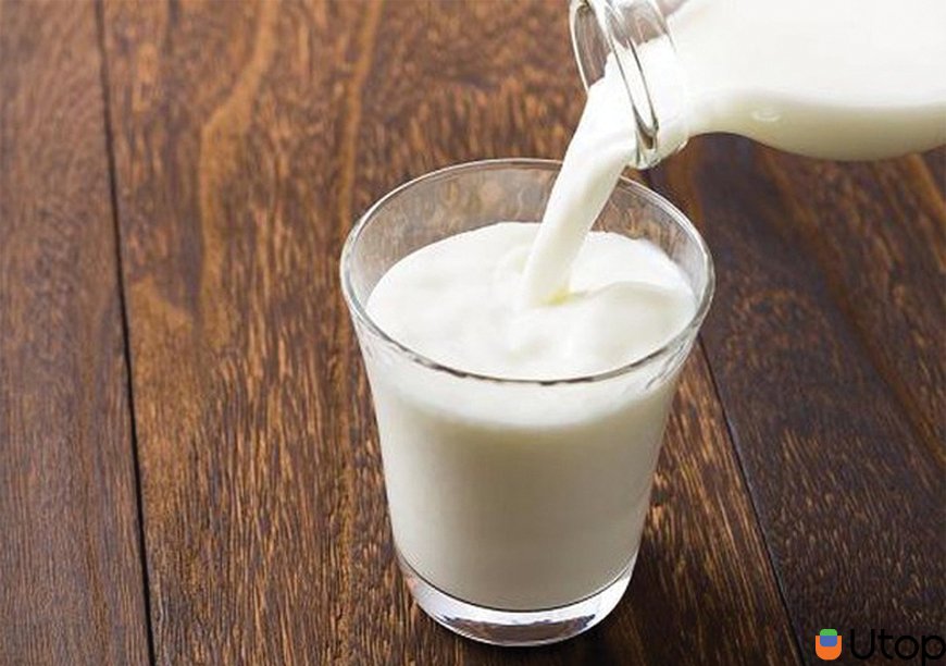 Sữa và các sản phẩm từ sữa